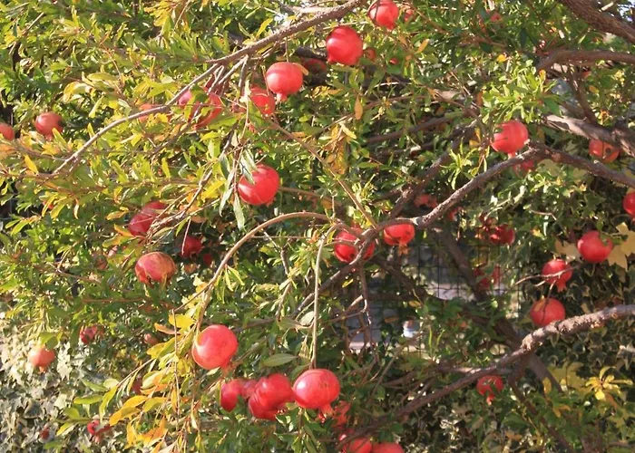 By The Sea - 2253 * Medulin